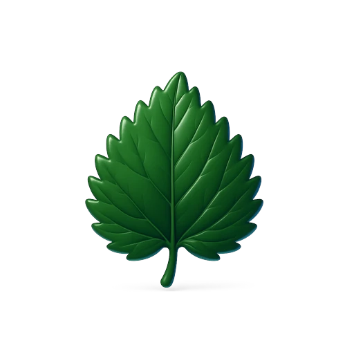 Icono de Ortiga